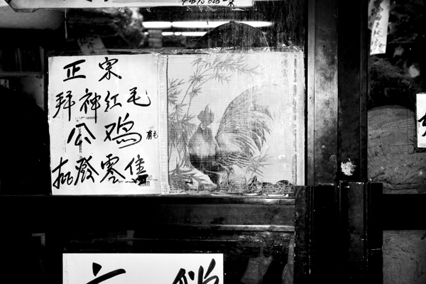 Cock : Chinatown : Catherine Kirkpatrick Photography