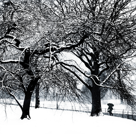  : Urban Winter : Catherine Kirkpatrick Photography