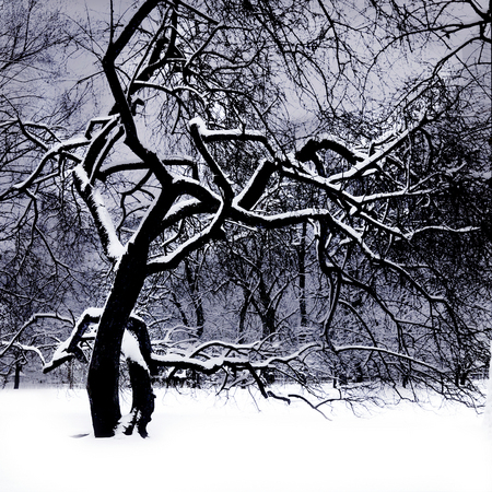  : Urban Winter : Catherine Kirkpatrick Photography