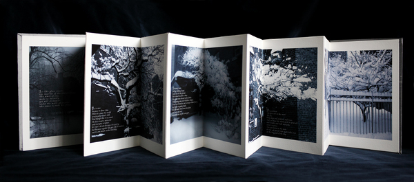 In Winter Site (#2) : Artist's Books : Catherine Kirkpatrick Photography