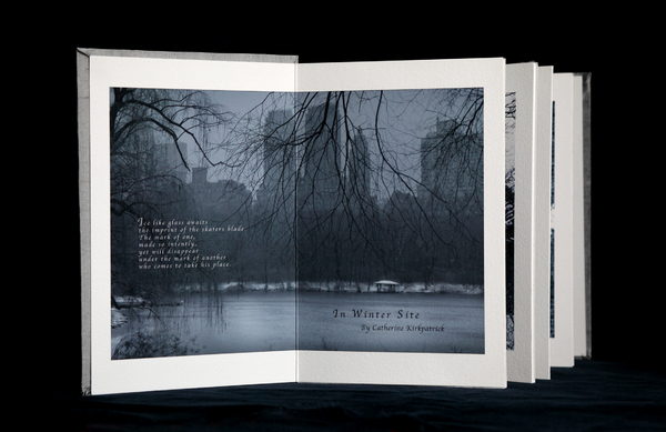 In Winter Site (#1) : Artist's Books : Catherine Kirkpatrick Photography
