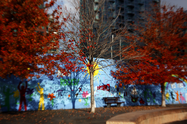 Trees, Long Island City : Through a Plastic Lens : Catherine Kirkpatrick Photography