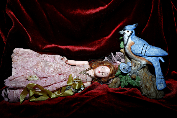  : Fractured Fairy Tales : Catherine Kirkpatrick Photography