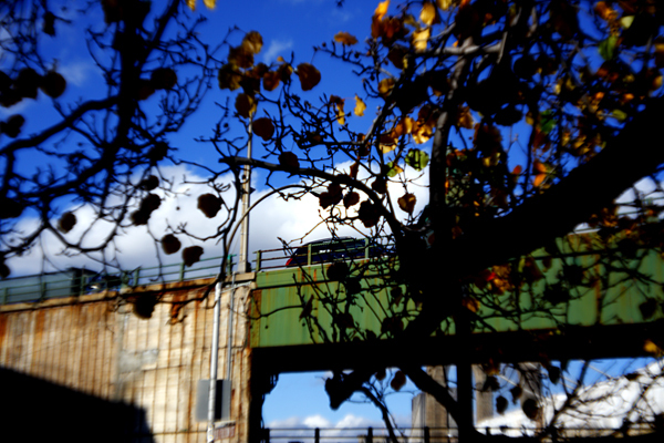 Brooklyn Overpass : Through a Plastic Lens : Catherine Kirkpatrick Photography