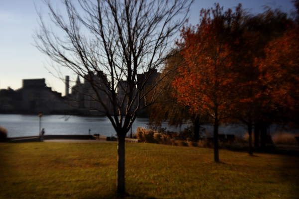 Long Island City : Through a Plastic Lens : Catherine Kirkpatrick Photography