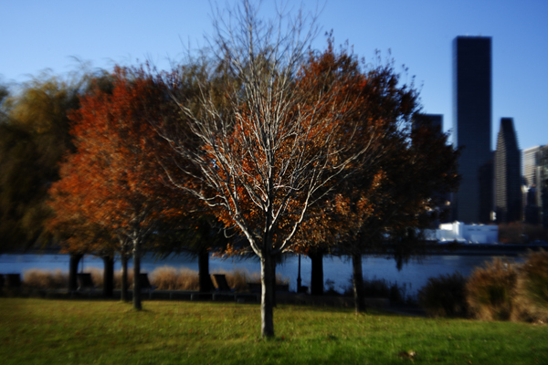 Long Island City : Through a Plastic Lens : Catherine Kirkpatrick Photography