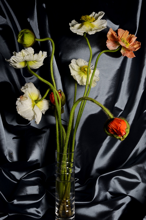  : Florae : Catherine Kirkpatrick Photography