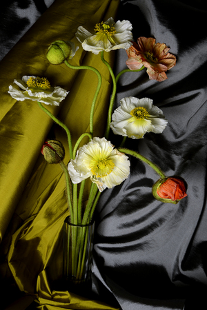  : Florae : Catherine Kirkpatrick Photography