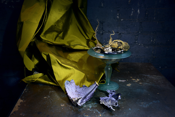  : Morgan Avenue Still Life Series : Catherine Kirkpatrick Photography