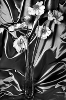 © Catherine Kirkpatrick