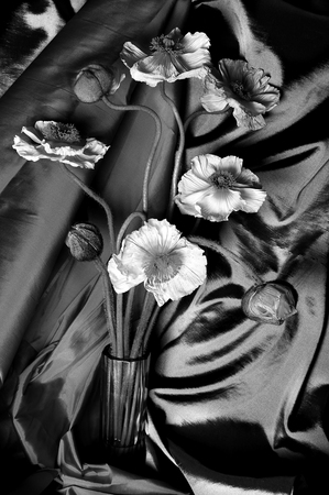  : Florae : Catherine Kirkpatrick Photography