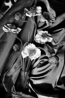 © Catherine Kirkpatrick