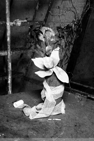  : Night Still Life : Catherine Kirkpatrick Photography