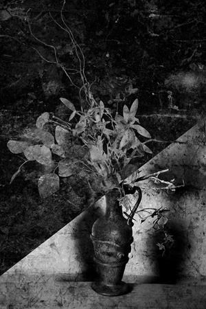  : Night Still Life : Catherine Kirkpatrick Photography