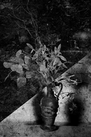 © Catherine Kirkpatrick