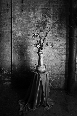  : Night Still Life : Catherine Kirkpatrick Photography
