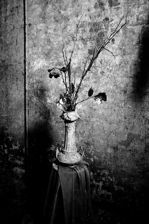  : Night Still Life : Catherine Kirkpatrick Photography