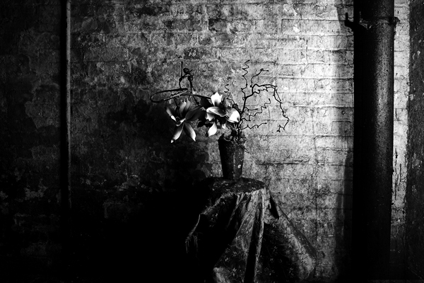  : Night Still Life : Catherine Kirkpatrick Photography