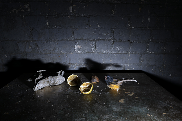  : Morgan Avenue Still Life Series : Catherine Kirkpatrick Photography