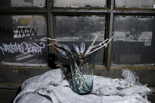  : Morgan Avenue Still Life Series : Catherine Kirkpatrick Photography