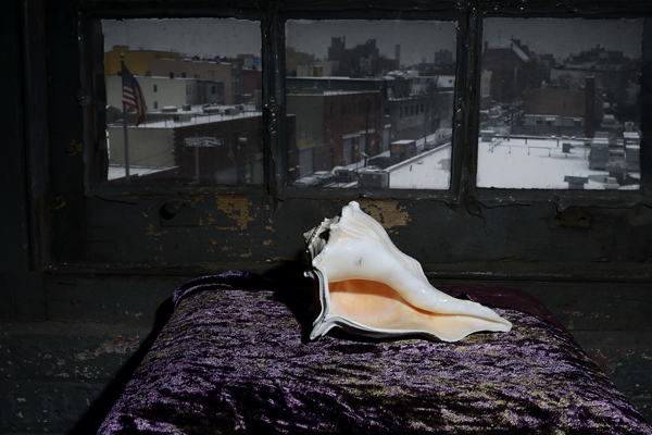  : Morgan Avenue Still Life Series : Catherine Kirkpatrick Photography