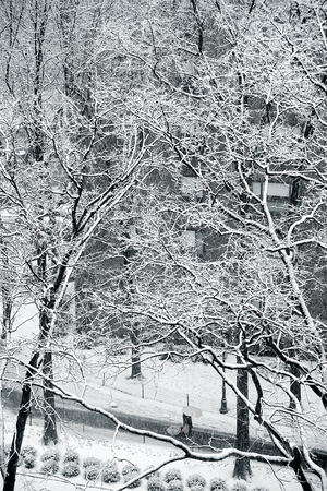  : Urban Winter : Catherine Kirkpatrick Photography