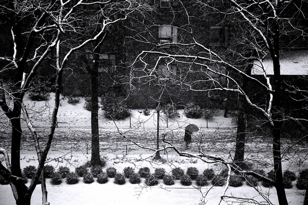  : Urban Winter : Catherine Kirkpatrick Photography