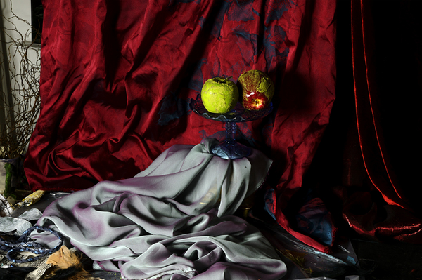  : Morgan Avenue Still Life Series : Catherine Kirkpatrick Photography