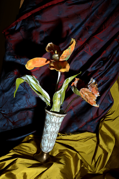  : Morgan Avenue Still Life Series : Catherine Kirkpatrick Photography