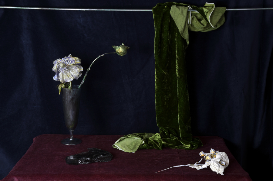  : Morgan Avenue Still Life Series : Catherine Kirkpatrick Photography