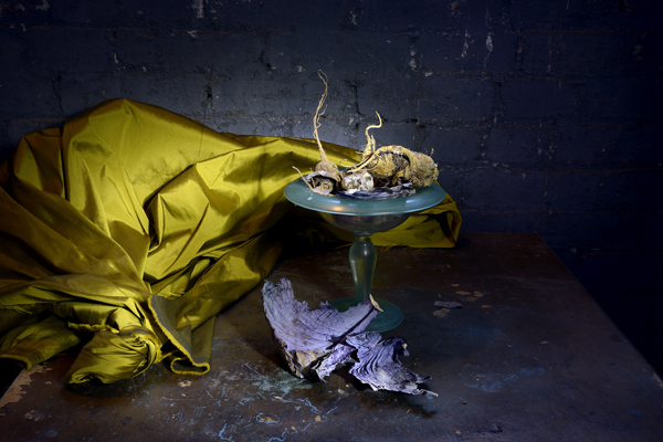  : Morgan Avenue Still Life Series : Catherine Kirkpatrick Photography