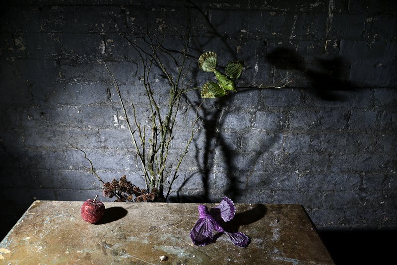  : Morgan Avenue Still Life Series : Catherine Kirkpatrick Photography