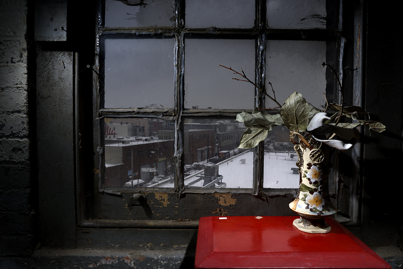  : Morgan Avenue Still Life Series : Catherine Kirkpatrick Photography