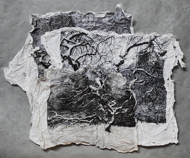  : Works on Paper : Catherine Kirkpatrick Photography