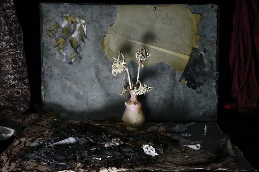 : Set In Darkness: Still Life 2020-2022 : Catherine Kirkpatrick Photography
