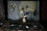 © Catherine Kirkpatrick