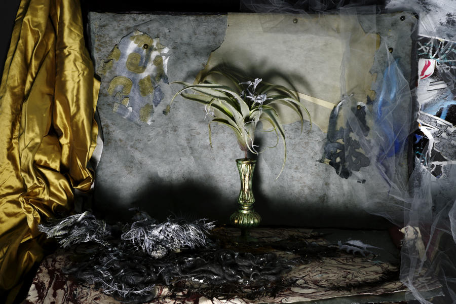  : Set In Darkness: Still Life 2020-2022 : Catherine Kirkpatrick Photography