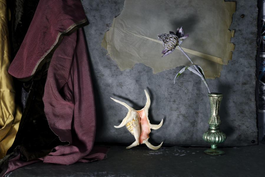  : A Touch of Chaos: Still Life 2020-2021 : Catherine Kirkpatrick Photography