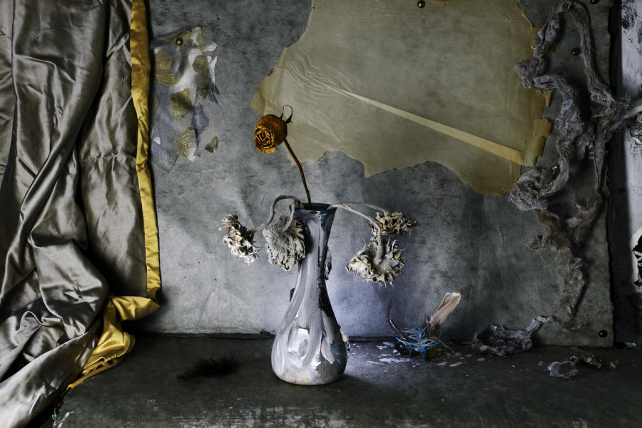  : A Touch of Chaos: Still Life 2020-2021 : Catherine Kirkpatrick Photography