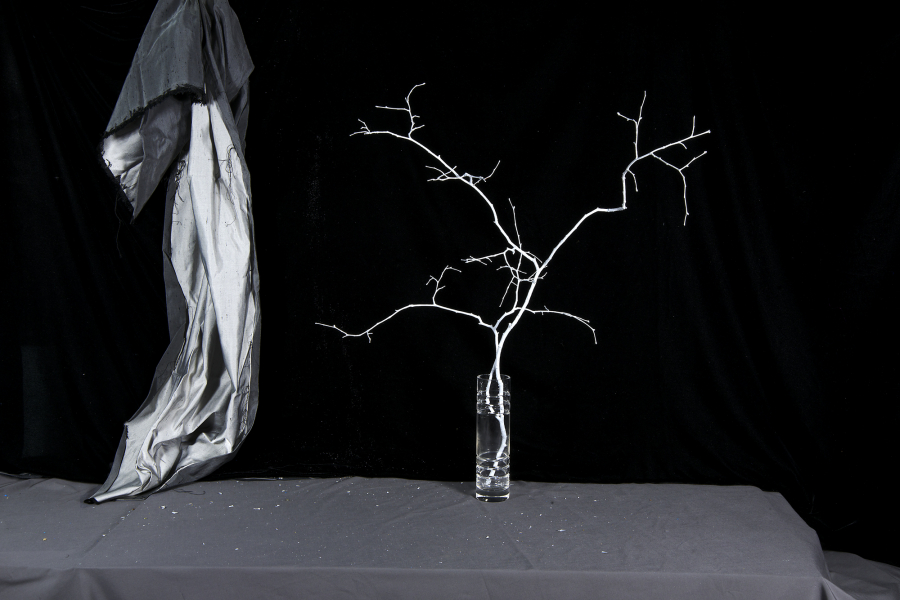  : Shadow and Form 2021-2024 : Catherine Kirkpatrick Photography
