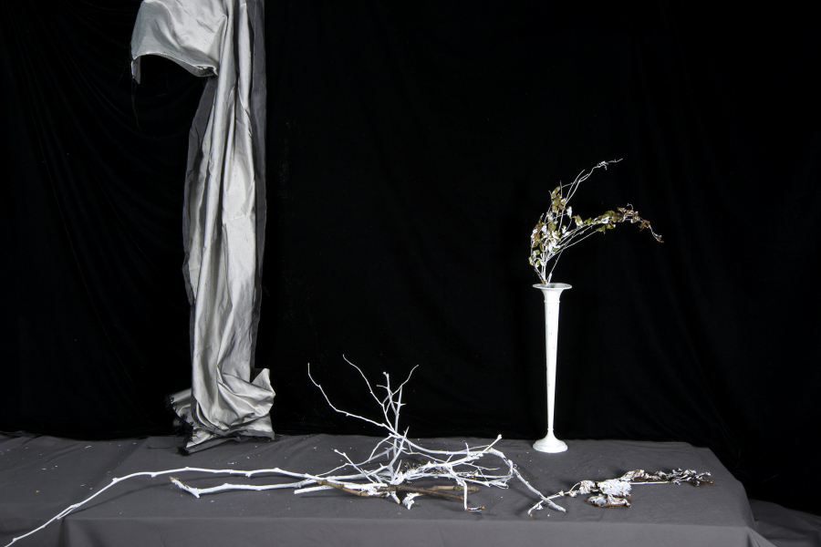  : Shadow and Form 2021-2024 : Catherine Kirkpatrick Photography