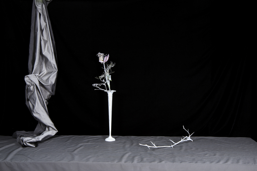  : Shadow and Form 2021-2024 : Catherine Kirkpatrick Photography