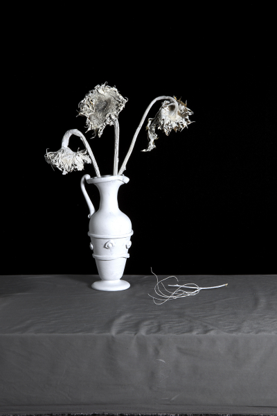  : Shadow and Form 2021-2024 : Catherine Kirkpatrick Photography