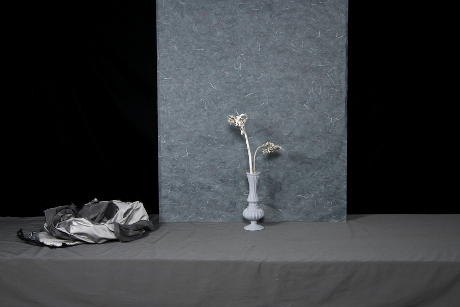  : Shadow and Form 2021-2024 : Catherine Kirkpatrick Photography