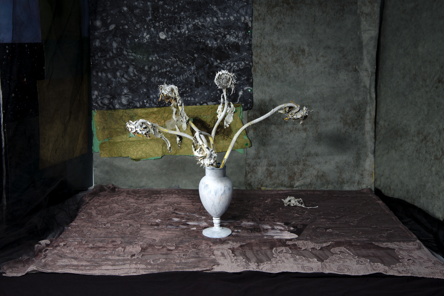  : A Touch of Chaos: Still Life 2020-2021 : Catherine Kirkpatrick Photography