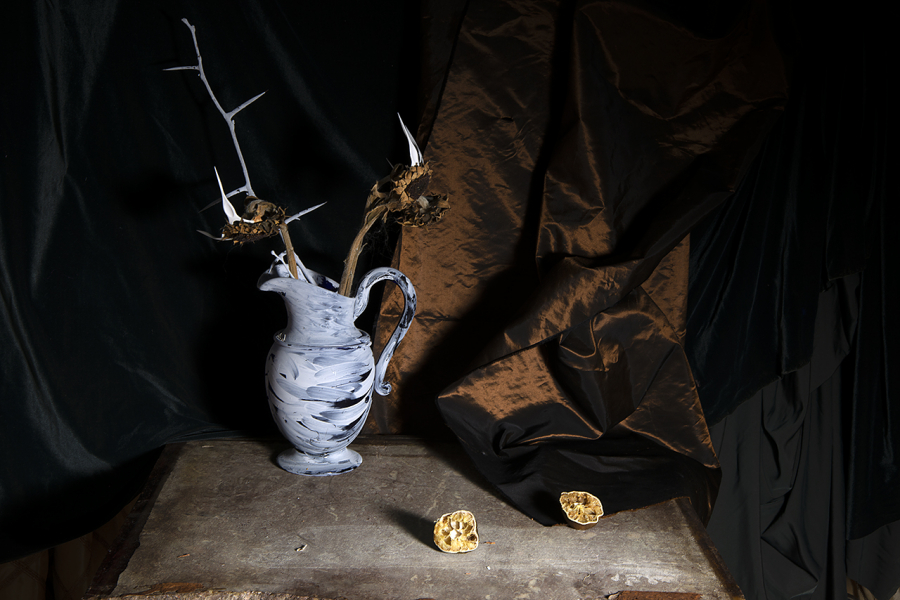  : New Work 2022-4 : Catherine Kirkpatrick Photography