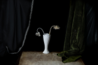 © Catherine Kirkpatrick