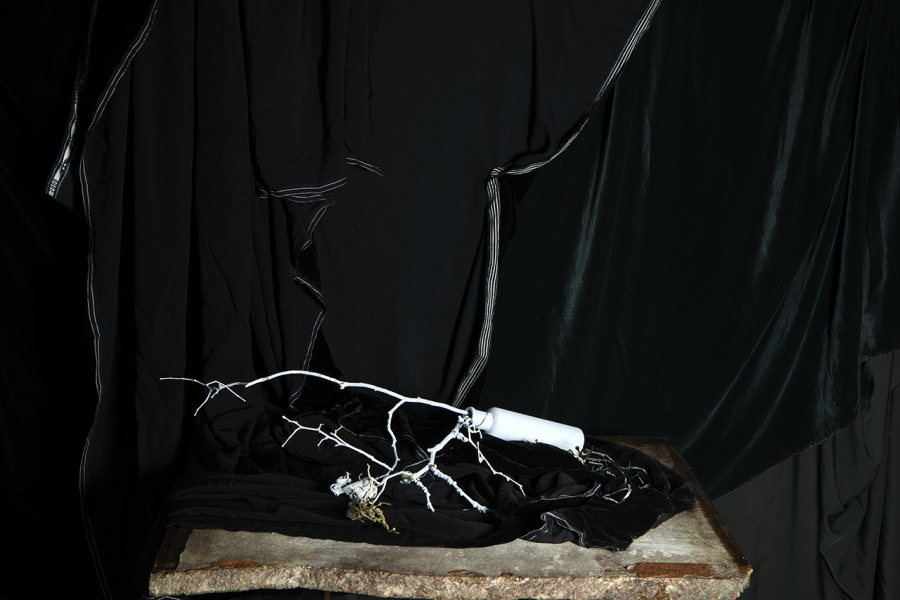  : New Work 2022-4 : Catherine Kirkpatrick Photography