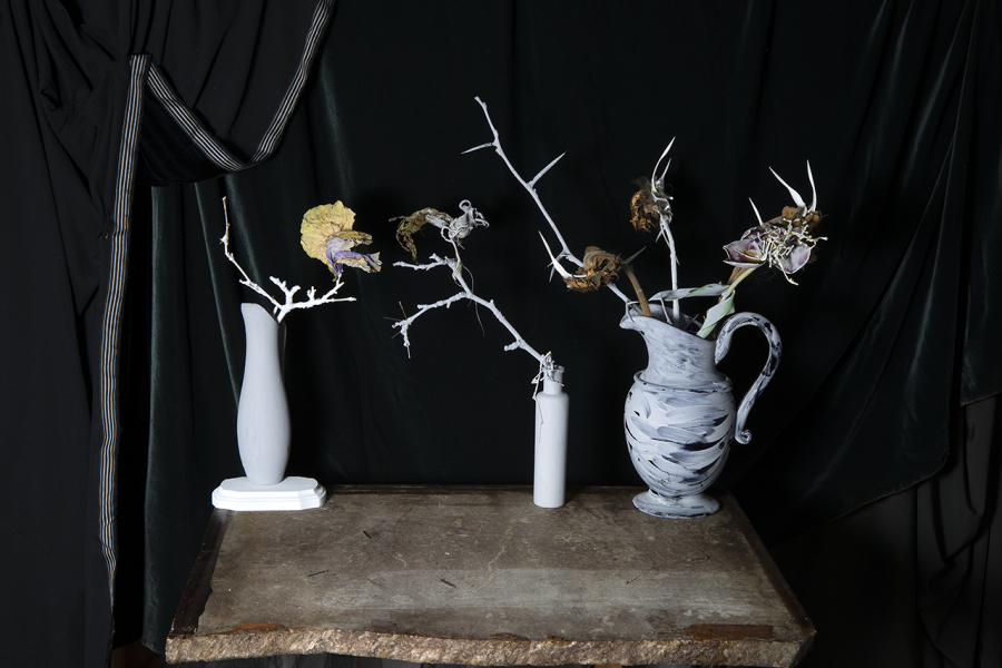  : Shadow and Form 2021-2024 : Catherine Kirkpatrick Photography