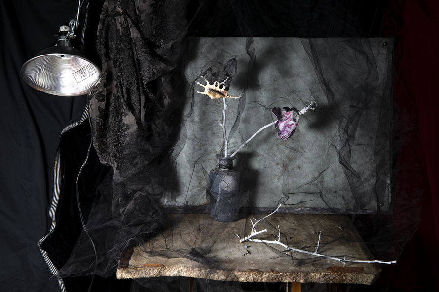  : New Work 2022-4 : Catherine Kirkpatrick Photography
